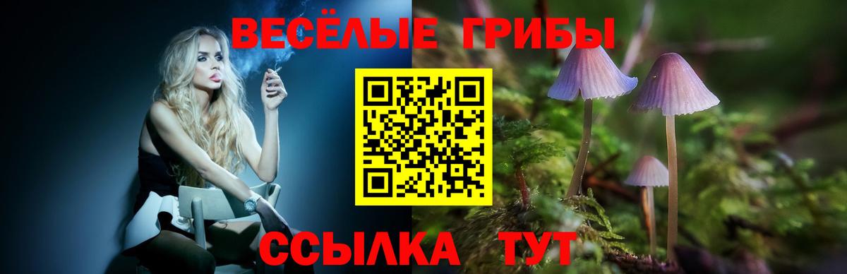 Галлюциногенные грибы MAGIC MUSHROOMS  закладки  Каменск-Шахтинский  Галлюциногенные грибы ЛСД  Вход с VPN 